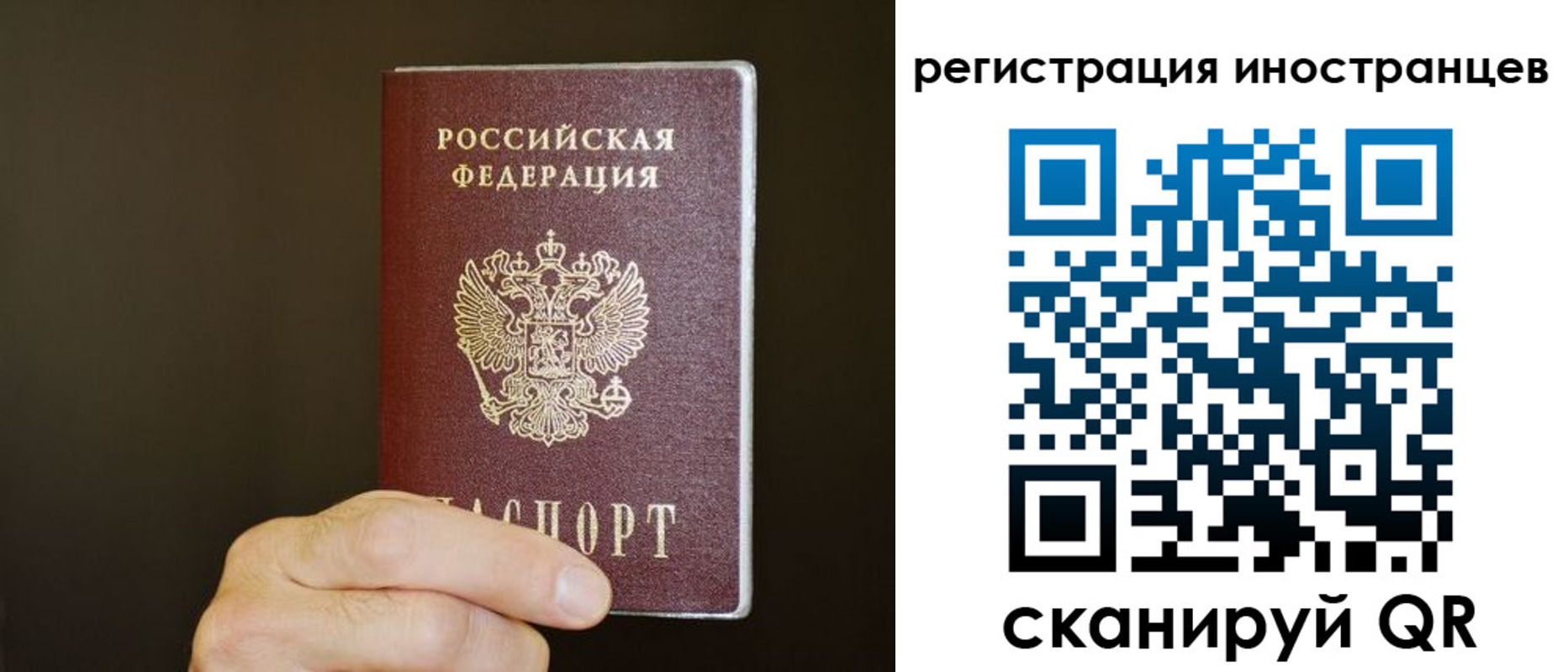 прописка в Юрьев-Польском